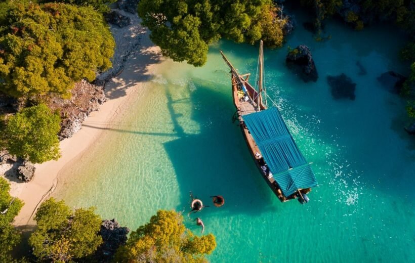 The Ultimate Safari Blue Experience