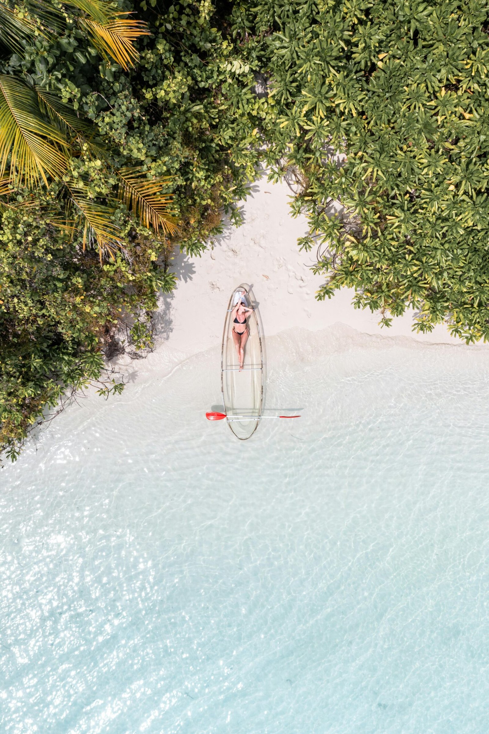 pexels-publophoto-30484251