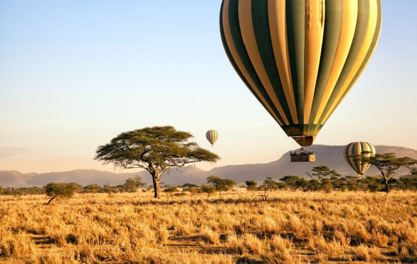 3 Days Fly in Serengeti from Zanzibar
