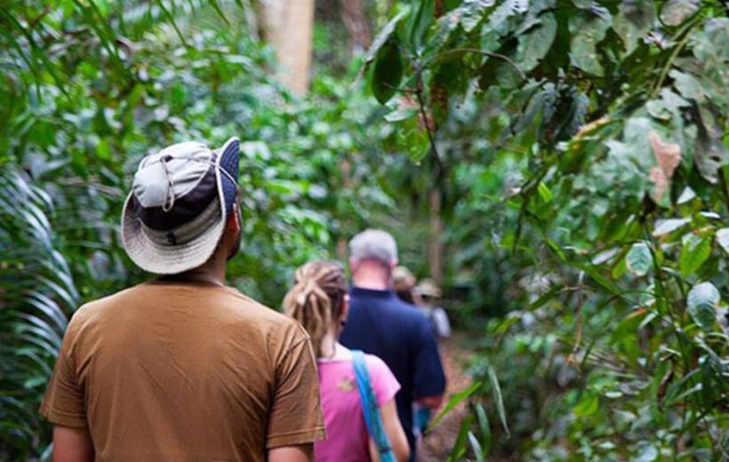 Pemba Island: Cultural & Adventure Experience by Flight