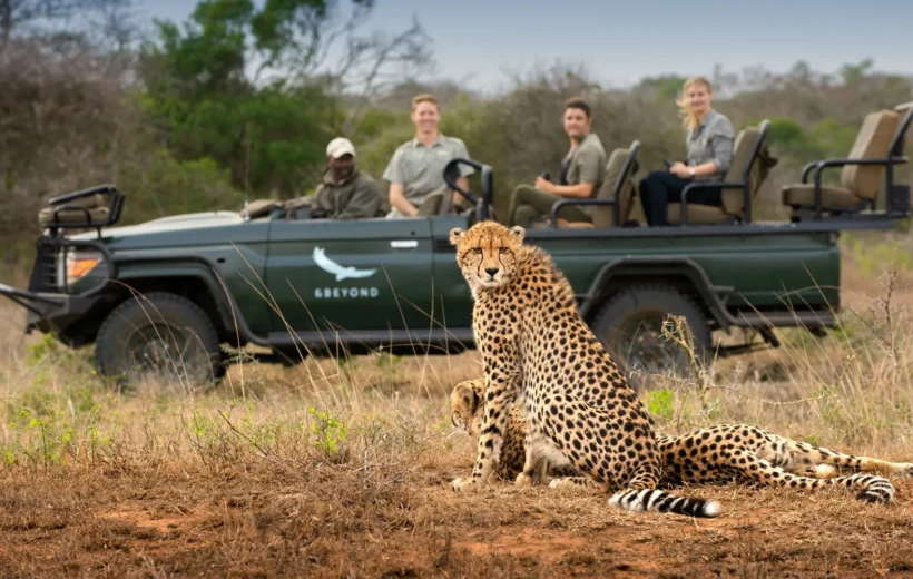 6 Days Across Tanzania’s Natural Wonder