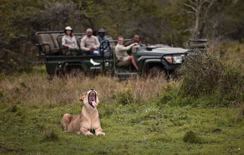 7 Days Big Five Luxury Safari in Tanzania