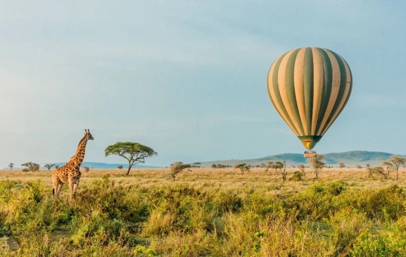 Premium Safari to Serengeti and Ngorongoro